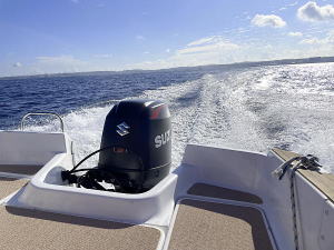 �C�m�U�������y�b�g�́A�U���ꏊ�ւ̂��Q��C���[�W