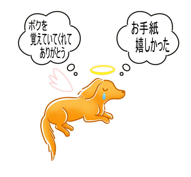 �S���y�b�g�ւ̂��莆�̌��ʁ@�y�b�g�̋C����